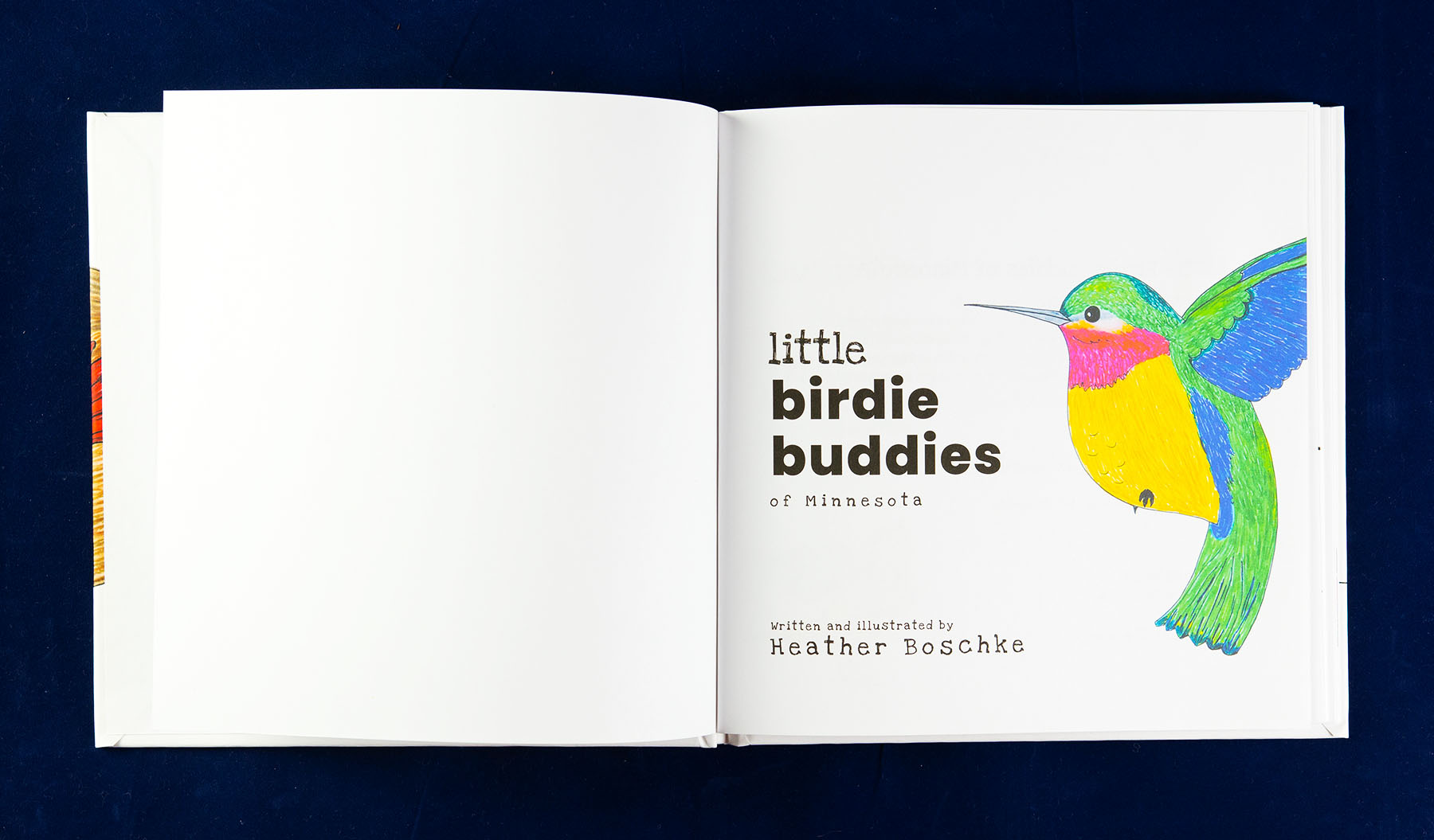 Children’s: Birdie Buddies - Illustrada