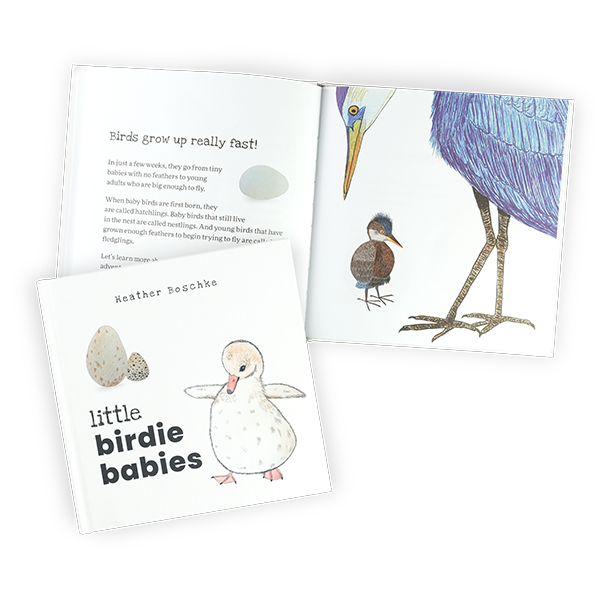 The cover of "Little Birdie Babies" featuring two eggs and a cute and fuzzy trumpeter swan. Behind is another copy of the book open to a page showing an egg, baby, and adult blue heron.